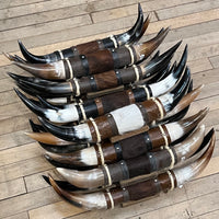 Genuine Mini Longhorn Horns