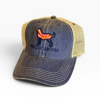 Old Favorite State Flag Hat