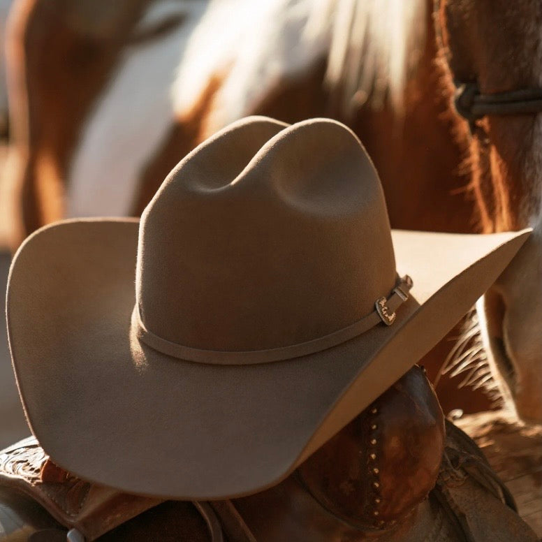 Stetson Skyline Cowboy Hat 250th Collection