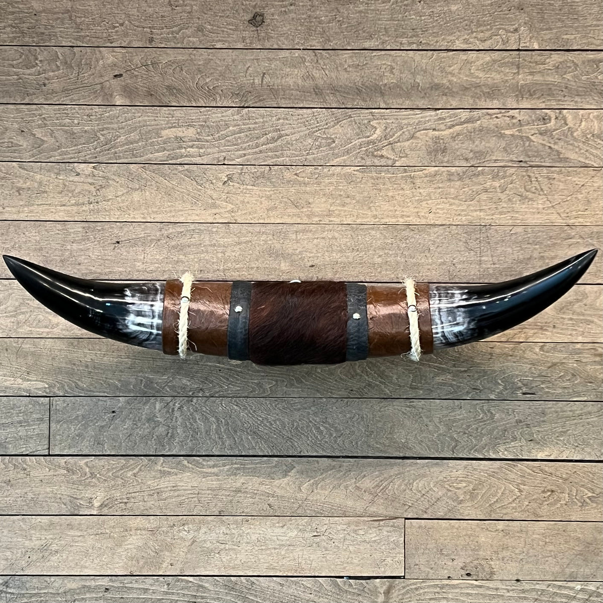 Genuine Mini Longhorn Horns