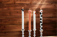 FARM ANIMAL TAPER CANDLES