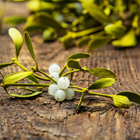 Limited Edition Mistletoe Kisses 9oz Soy Candle