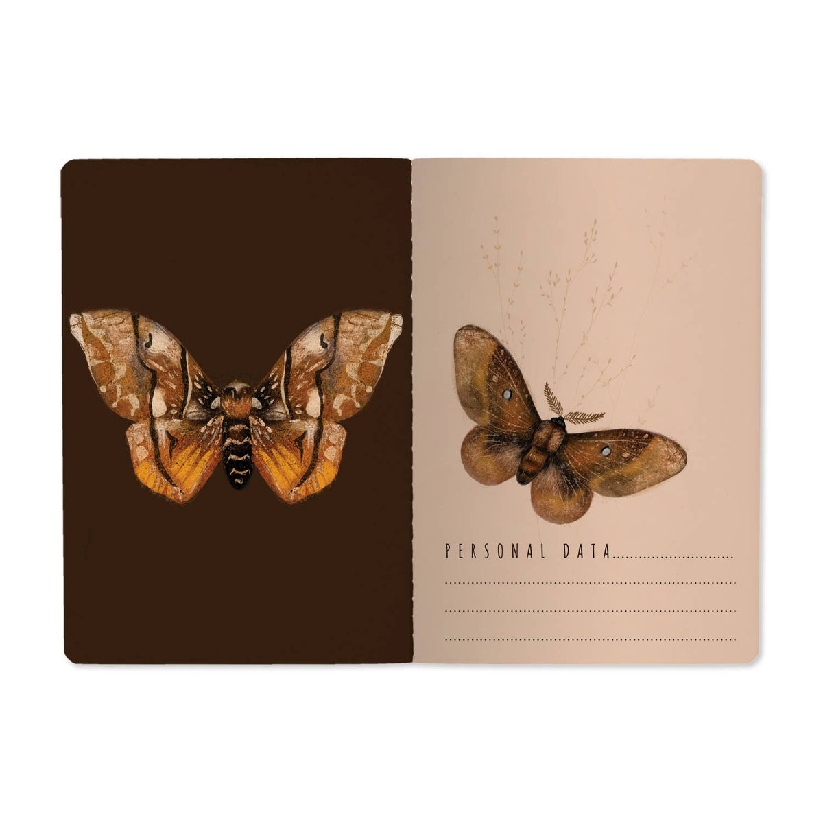 Butterflies on Blush Notebook
