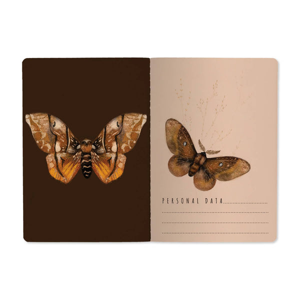 Butterflies on Blush Notebook