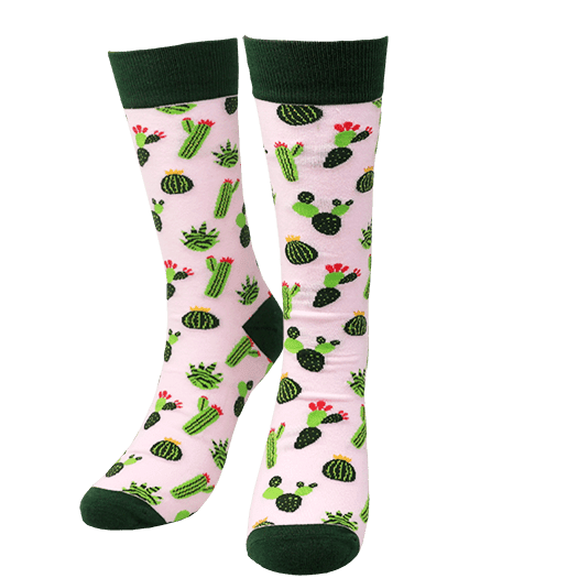 Cactus Flower Lone Rock Knit Socks