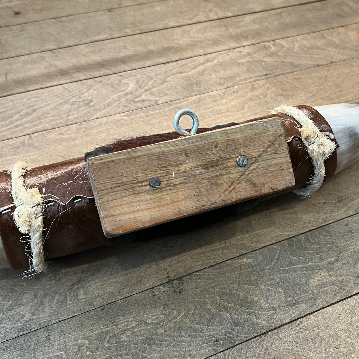 Genuine Mini Longhorn Horns