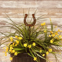 Metal Plant Stakes