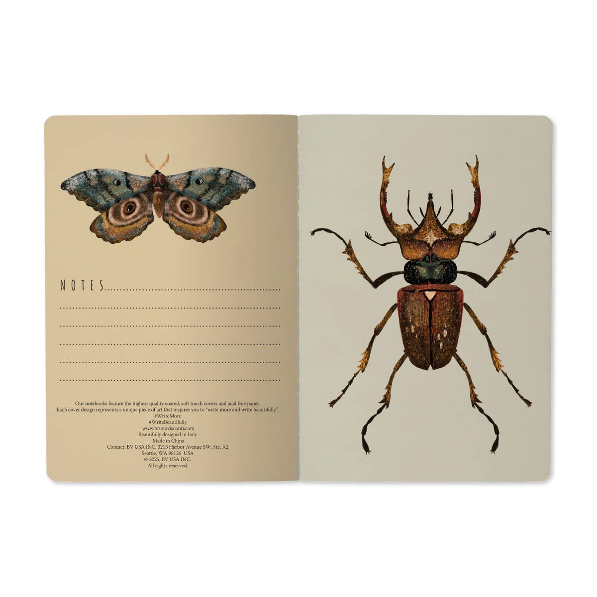 Entomology Notebook
