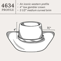 Stetson Revenger 4X Cowboy Hat