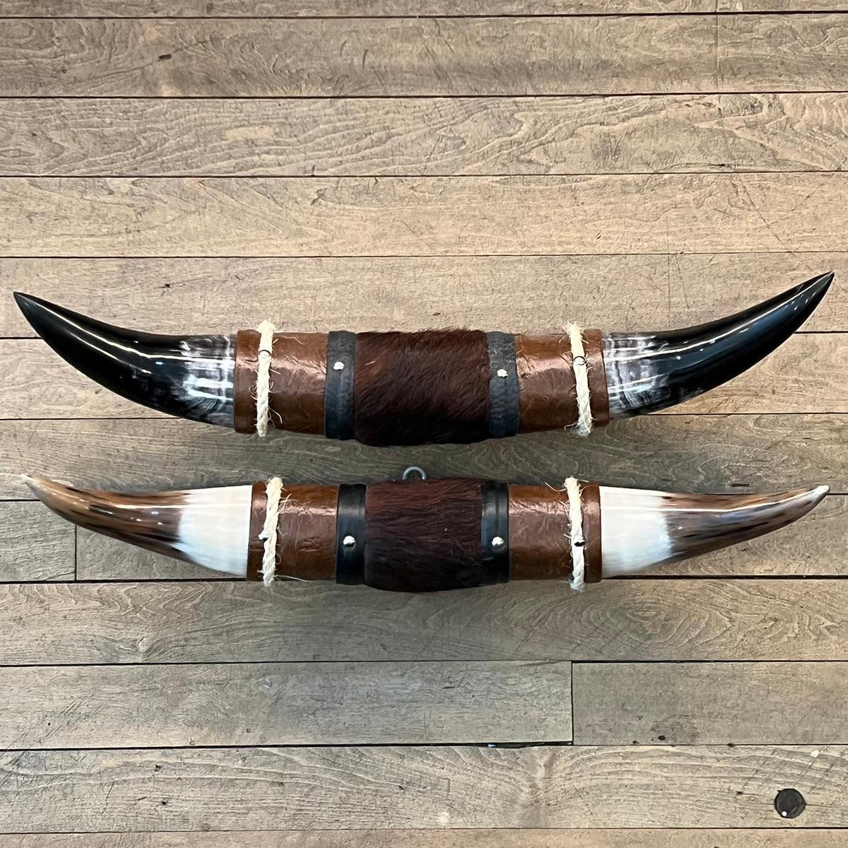 Genuine Mini Longhorn Horns
