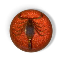 Scorpion Paper Weight