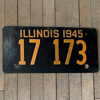 Illinois Paper License Plate