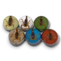 Scorpion Paper Weight