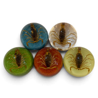 Scorpion Paper Weight