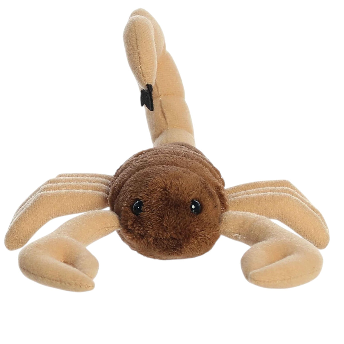 8” Sol Scorpion
