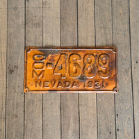 Nevada License Plate