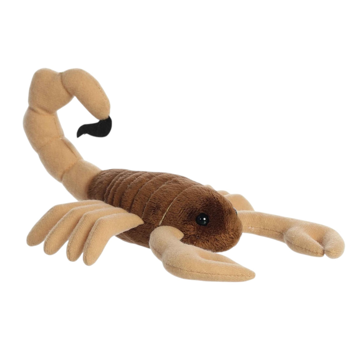 8” Sol Scorpion