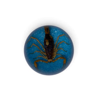 Scorpion Paper Weight