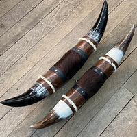 Genuine Mini Longhorn Horns
