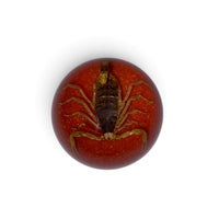 Scorpion Paper Weight