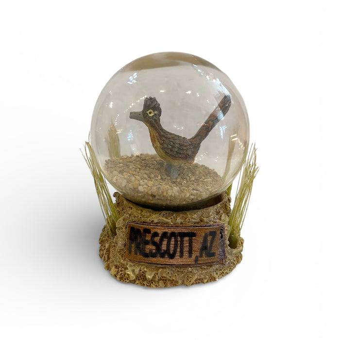 Roadrunner Sand Globe