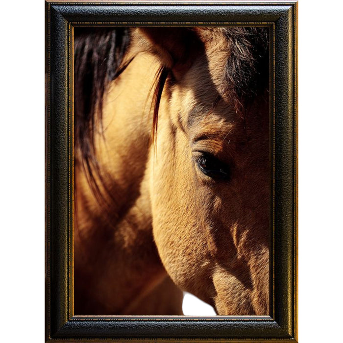 Buckskin Photo Frame