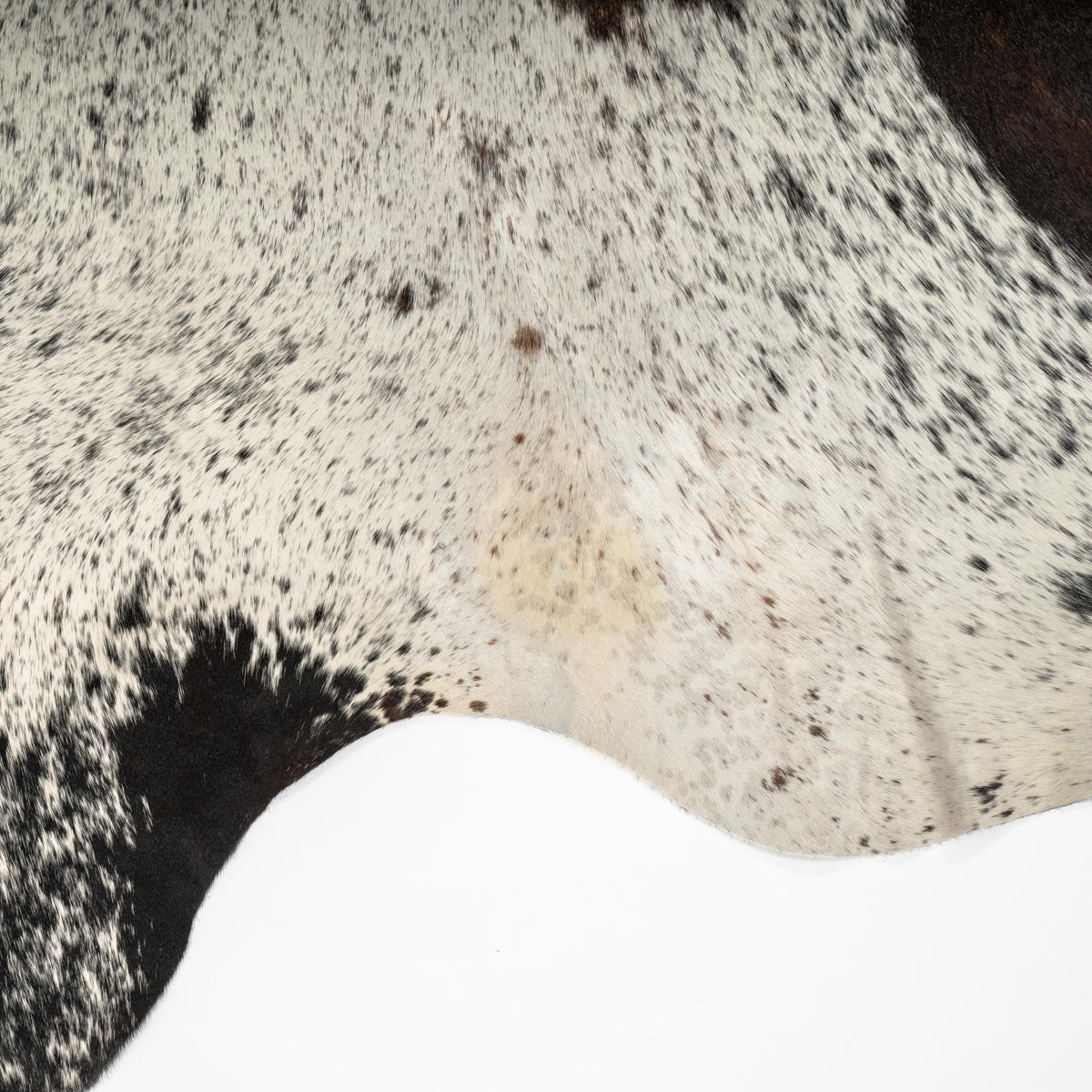 Large Cowhide Black Speckles