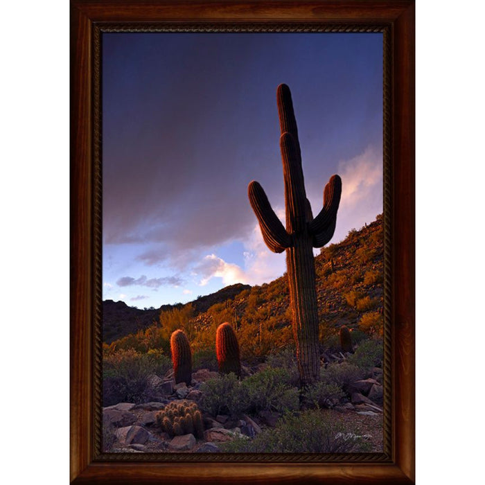 Desert Shadows Photo Frame