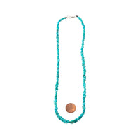Kingman Turquoise Necklace - 18in