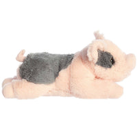 12” Tidbit Mini Pig