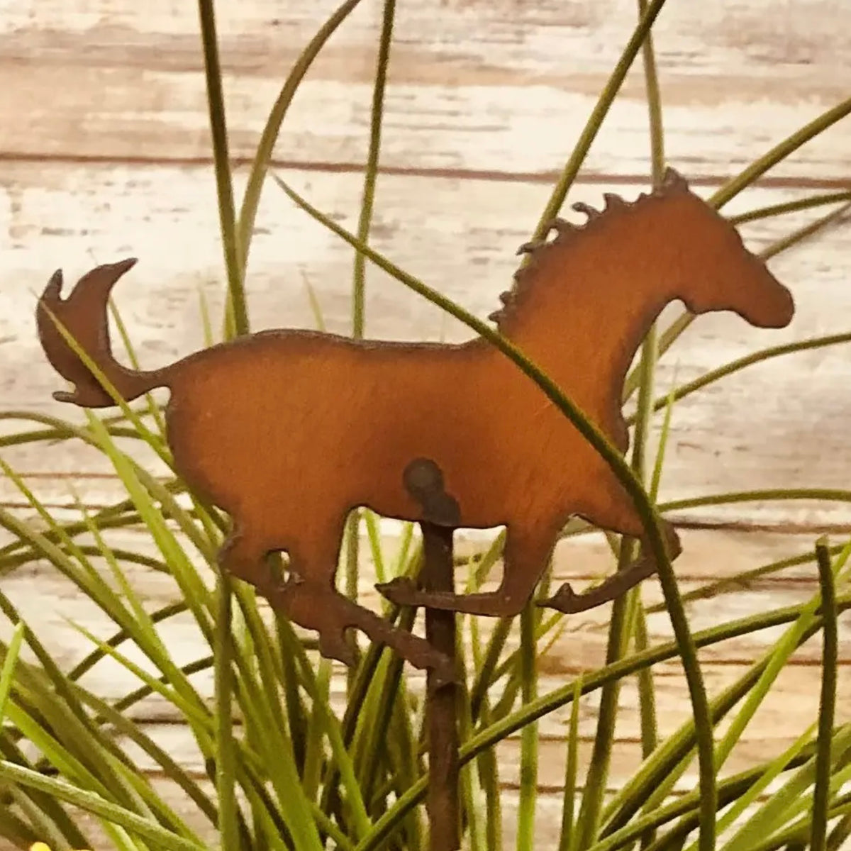 Metal Plant Stakes