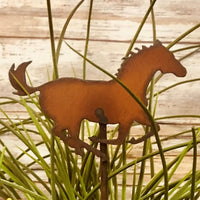 Metal Plant Stakes