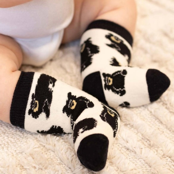 Baby Bear Infant Socks