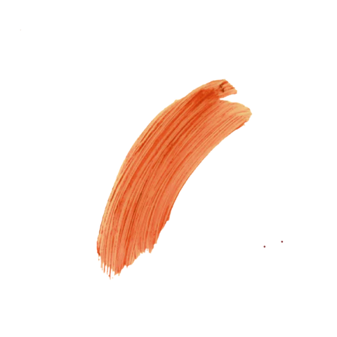 The Naked Bee SPF 15 Desert Flower Tinted Lip Balm