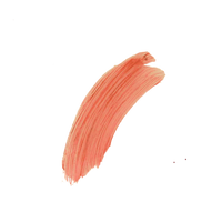 The Naked Bee SPF 15 Peach Blossom Tinted Lip Balm