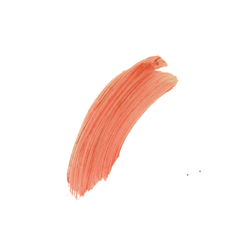 The Naked Bee SPF 15 Peach Blossom Tinted Lip Balm