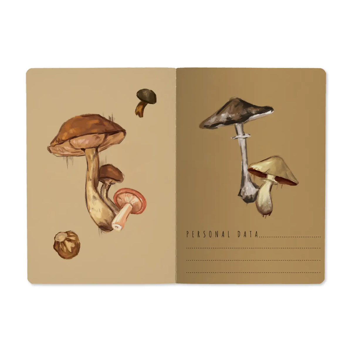 Mushrooms On White