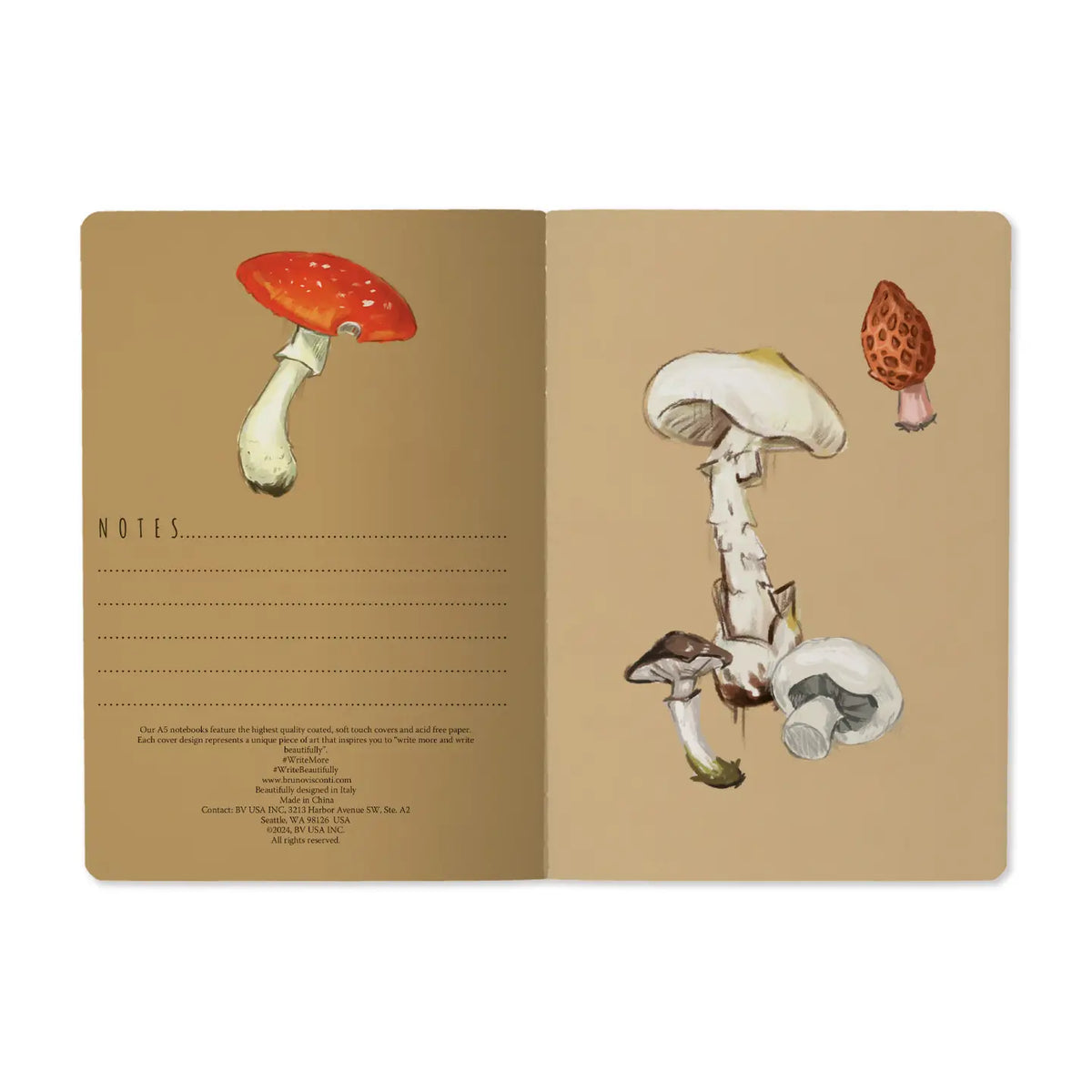 Mushrooms On White
