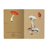 Mushrooms On White