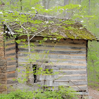 Northwoods Cabin Soy Candle