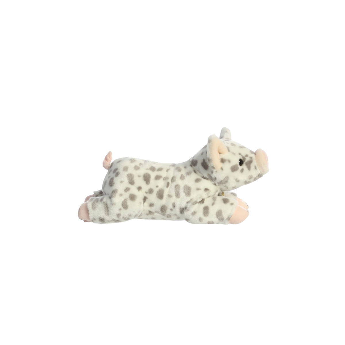 Miyoni® - Spotted Piglet