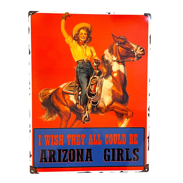 ‘I Wish They Could All Be Arizona Girls’ Large Metal Sign
