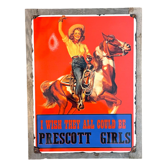 ‘I Wish They Could All Be Arizona Girls’ Large Wood Framed Metal Sign