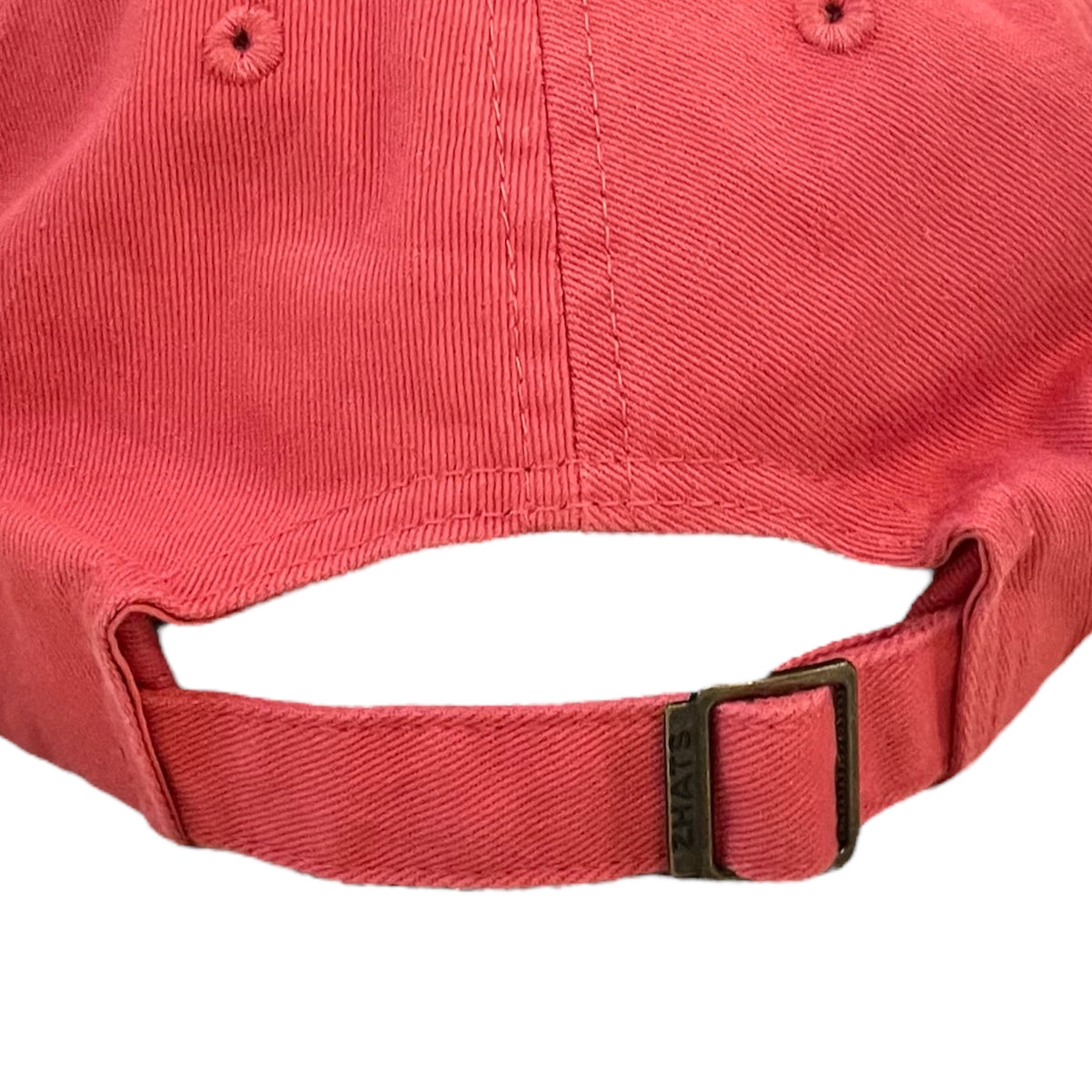 Salmon Striped Cactus Patch Prescott AZ Baseball Cap