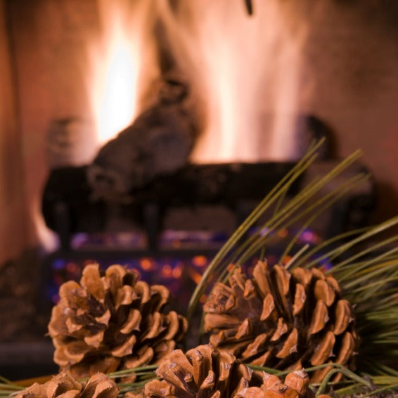 Home by the Fire Soy Candle
