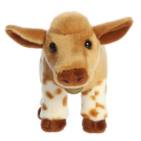 11” Longhorn Calf