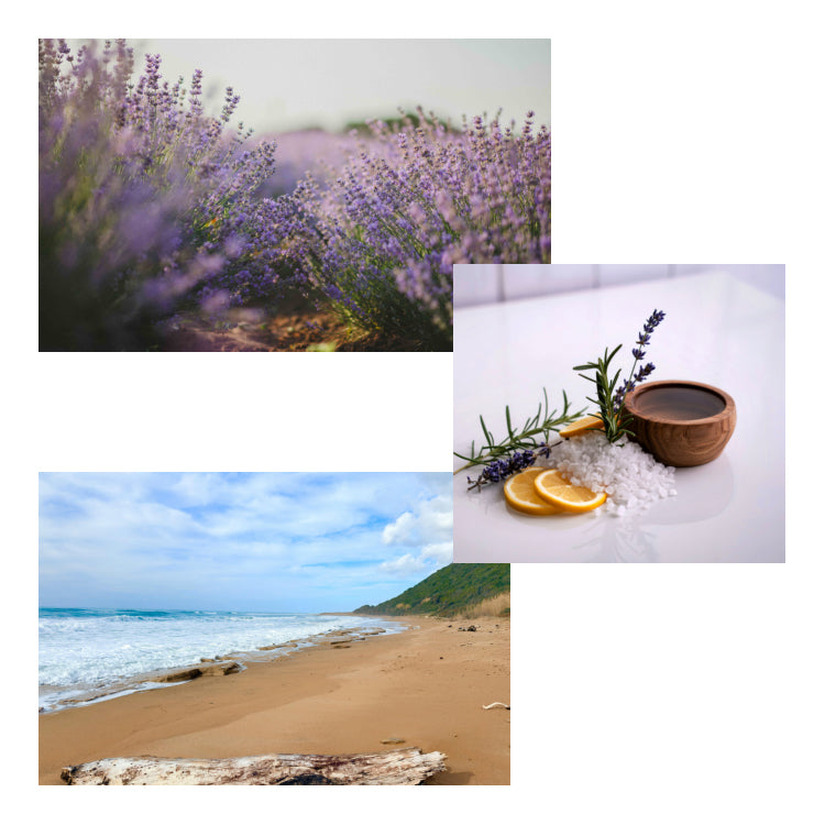 Lavender Driftwood Soy Candle