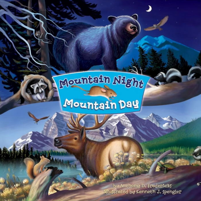 Mountain Night Mountain Day Kid’s Book