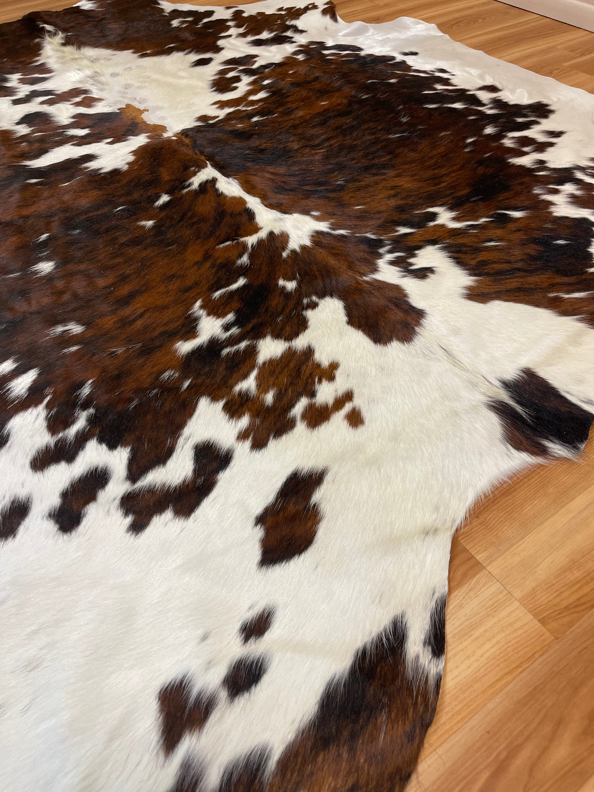 Large Speckle Long Hair Cowhide- Tricolor