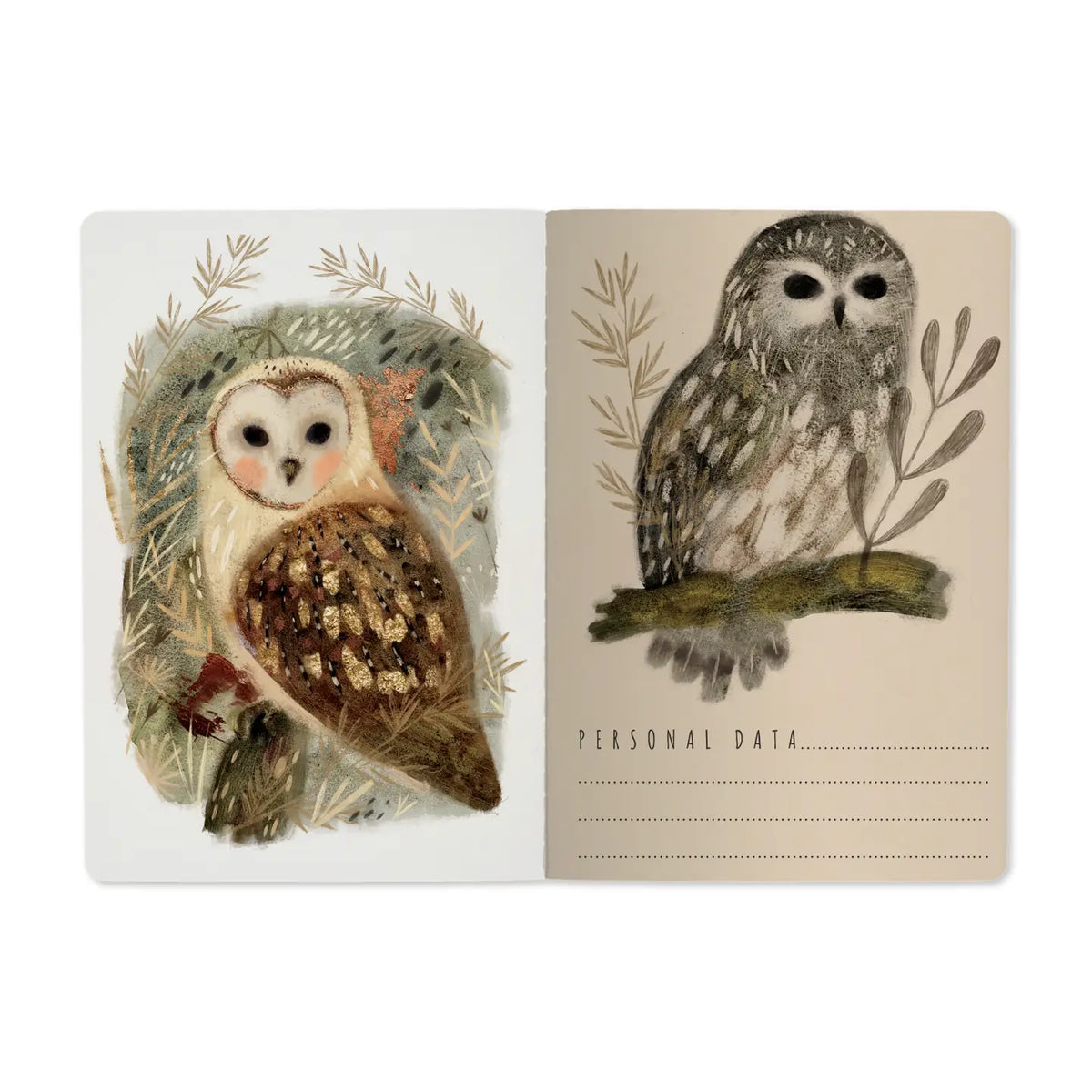 Owls Notebook